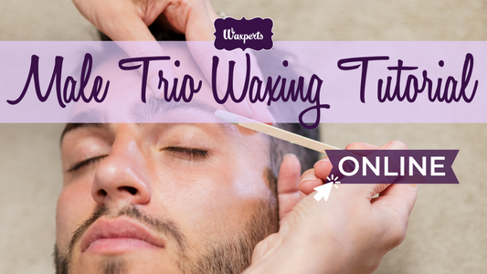Waxperts Male Trio Tutorial